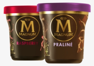 Magnum Tub Chocolate & Hazelnut Praliné Ice Cream 440ml - Magnum Eis Praline Becher #1114964