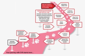 Cvs Micareers Nursing - Nursing Career Uk #1115355