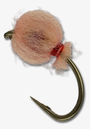 Peachy King - Insect #1115643