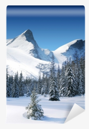 Trees Coated With Snow And High Snowy Mountains Wall - Snow #1115956