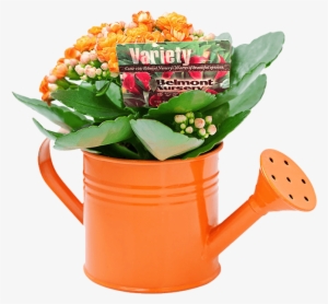 Contact - Decoração Banheiro Feng Shui #1116261