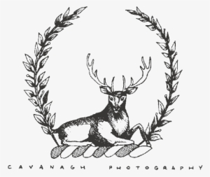 Photographer #1116946