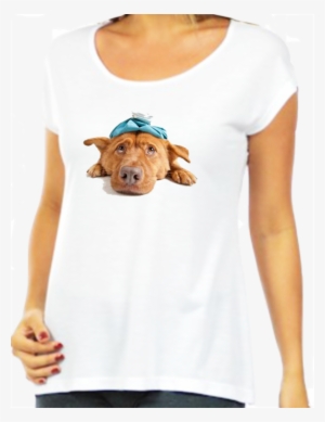 Cachorro Marron Pro Site - If You See This First #1117070