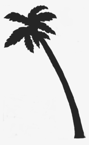 Clipart Palm Tree - Palm Tree Transparent Background #1117915