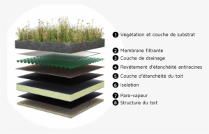 The Various Parts Of A Green Roof - Heat Absorbing Roof Materials #1118054