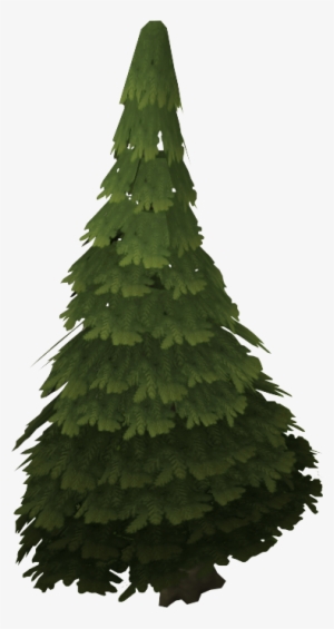 Evergreen Tree - .wiki #1118094