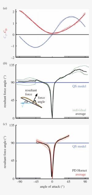 Quasi Steady Lift And Drag Model Approximation Of Hummingbird - Lift #1118212