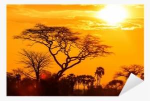 Orange Glow Of African Sunset Extra Large Wall Art #1118241