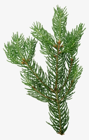 Game Textures - Christmas Tree #1118865