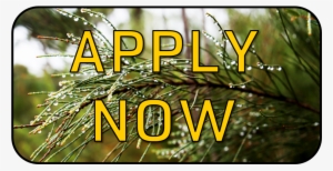 About The Program - Pc Game #1119078