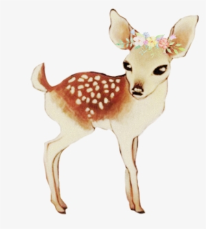 Baby Deer @scribblehandsfreetoedit - Baby Deer Drawing #1119259