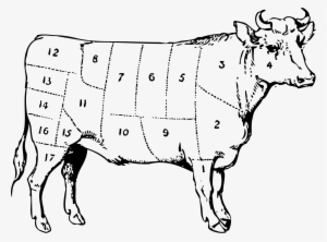 Icons Png Free And Downloads - Ox Clip Art #1119504