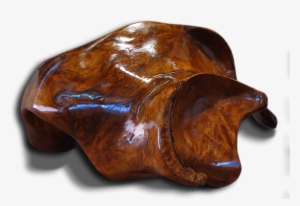 Frasca Halliday From All Directions Exposures International - Exposures International Gallery #1119589