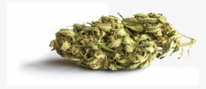 Cannabis Infused - Los Angeles #1119784