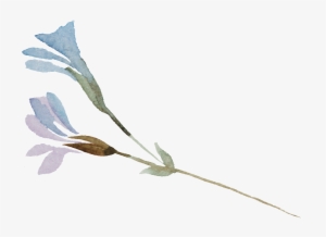 This Graphics Is Elf Flower Branch Cartoon Transparent - Cartoon #1120244