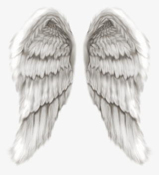 Realistic Angel Wings Png Angel Wing Png The Angel - Hd Angel Wings Png #1120251