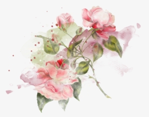 Largest Collection Of Free To Edit Bride Of Frankenstein - Garden Roses #1120899