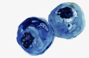 My Process Included Sketching The Illustration Out - Bilberry #1121428