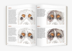 In-depth Colored Pencil Tutorial - Puppy Love #1121885