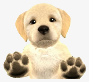 Great Dane - - Puppy Golden Retriever Transparent Background #1122287