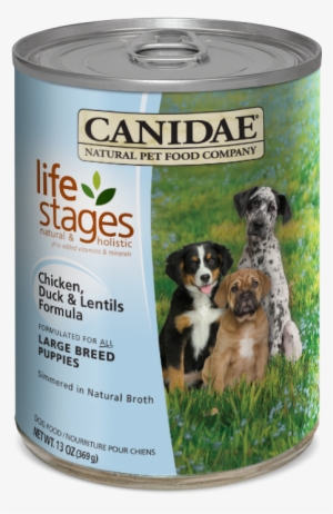 Food Brand For A Great Pyrenees #1122588