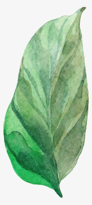 H402 - Watercolor Painting #1122844