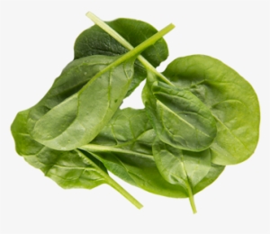 Kicked Up Spinach And Sun Dried Tomato Omelet Sandwich - Spinach Cooked Png #1122872