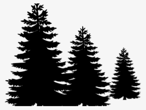 Pine Tree Silhouette Free #1122986 Pine Tree Silhouette Free #1122986