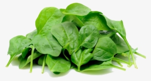 Spinach Png Image - Spinach Png #1123183
