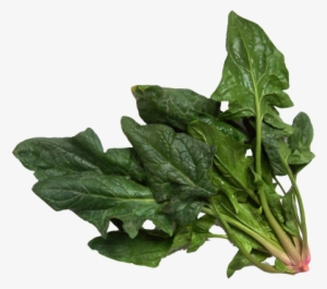 Download Spinach Png Image - Spinach Png #1123190
