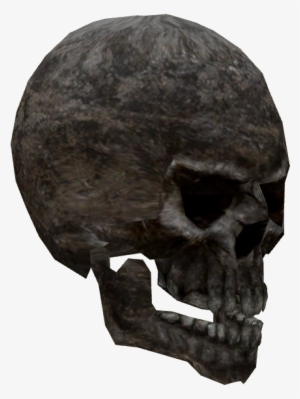 Skull #1123593