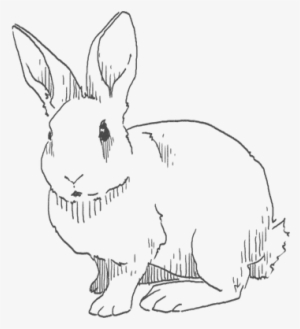 Drawing Of Alice From Max's Diary - Life Is Strange Game Pencil Drawing #1123744