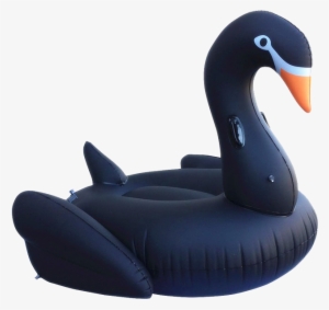 Inflatable #1123765