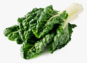 Leafy Fresh Silverbeet - Lacinato Kale #1123856