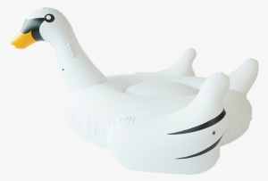 Sunfloats Inflatable White Swan Pool Floats - Duck #1124068
