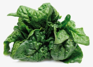 Tocotrienols Health Benefits #1124227