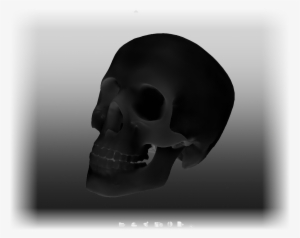 This Skull Shouldn't Look This Dark - Skull #1124229 This Skull Shouldn't Look This Dark - Skull #1124229