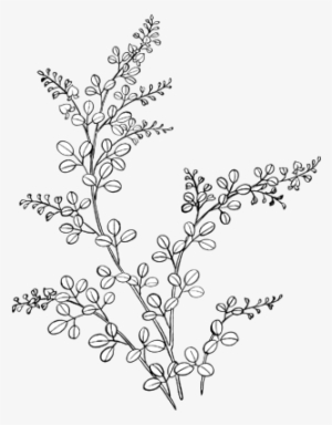 Flower Doodle Png - Flower Doodles Png #1124355