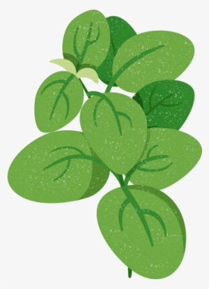 Spinach Leaves - Spinach #1124380