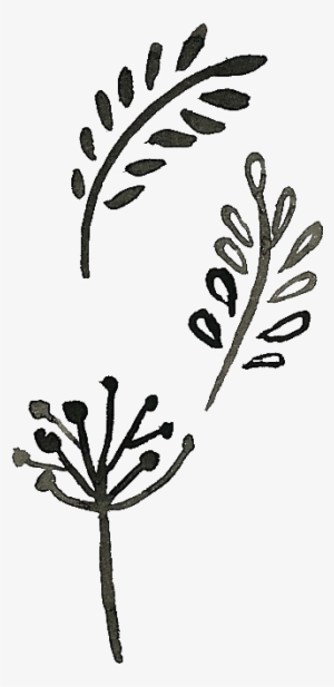 Doodles - Doodle Transparent #1124459