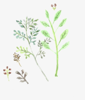 Doodles Png Library Library - Small Flower Png Doodle #1124618