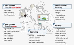 Cameras Requiring Displays With High Brightness, Low - Digital Camera #1124929