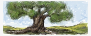 Image Free Download Camo Drawing Ancient Tree - Ancient Olive Tree Painting #1129979