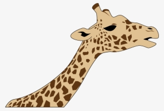 Drawing Head West African Giraffe Download Free Commercial - Giraffe Head Clip Art #1130329