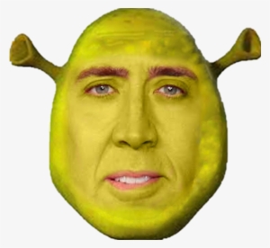 Shrek Nicolascage Cage Nicholas Dank Beautiful Inspirin - Nicolás Cage #1130354