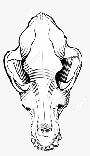 Dog Skull Black And White Free Dog Skull Clipart Black - Animal Jam Clans #1130997