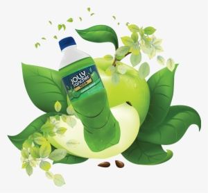 Apple Vector #1132805