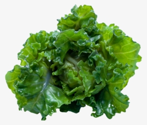 Kale Png #1134166