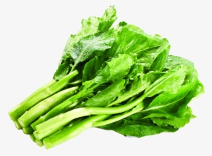 Kale Transparent Lettuce - คะน้า Png #1134169