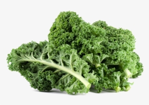 Kale Png File - Kale Leaves #1134202